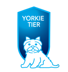 Yorkie Tier